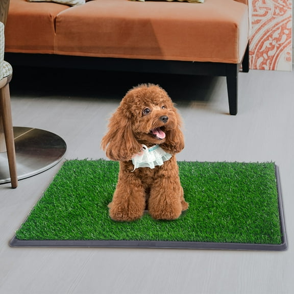 Senbabe 20"x 30" Dog Grass Pee Pad, Puppies Potty Pad for Living Bedroom Room