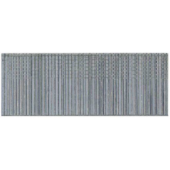 Senco M001005 Straight Finish Galvanized Nail, 2"