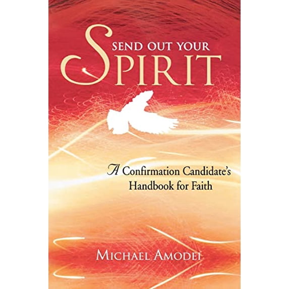 Pre-Owned Send Out Your Spirit: A Confirmation Candidate's Handbook for Faith (Paperback) 1594712255 9781594712258