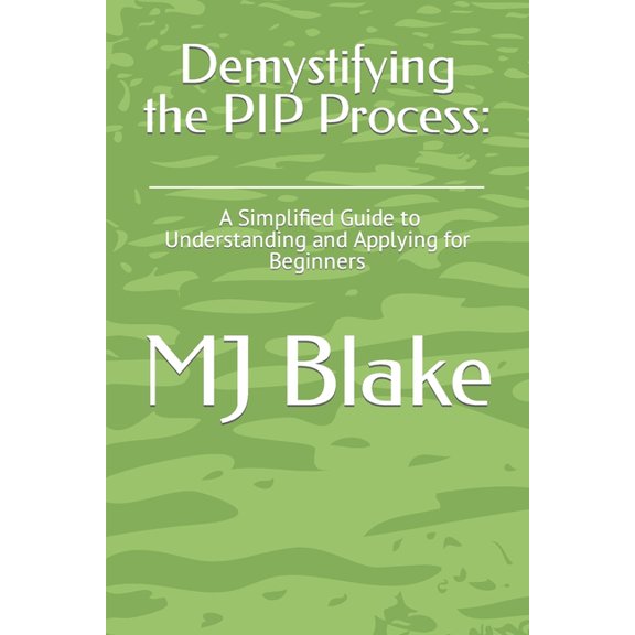 Send Resources: Demystifying the PIP Process : A Simplified Guide to Understanding and Applying for Beginners (Series #6) (Paperback)