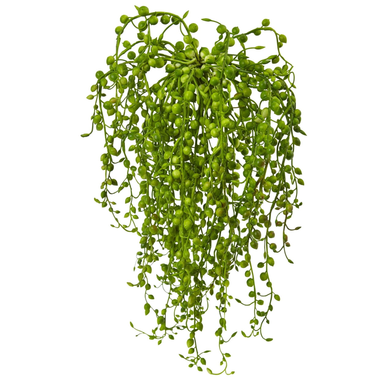 Senecio Green Cascading Artificial Succulent Set of 3