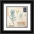 thumbnail image 1 of Senecio-Sketchbook 2x Matted 20x20 Black Ornate Framed Art Print by Staehling, Angela, 1 of 2