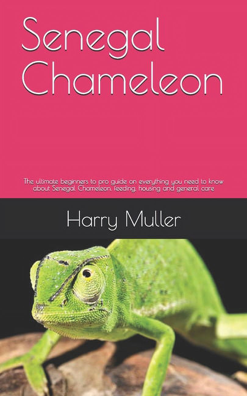 Basic Care for Pet Senegal Chameleons