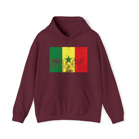 Senegal Flag Pride Hoodie, Gifts, Hooded Sweatshirt