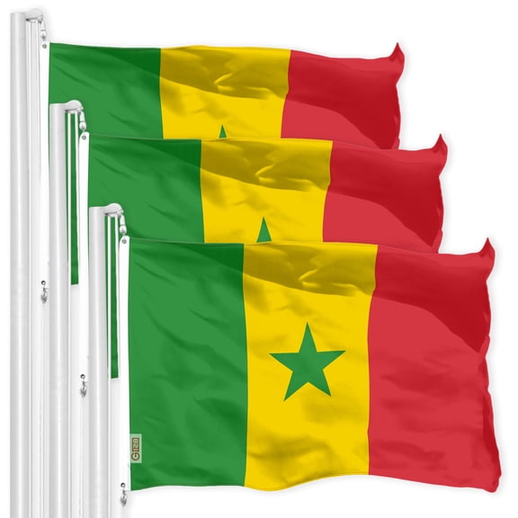 Senegal Senegalese Flag 3x5FT 3-Pack 150D Printed Polyester By G128