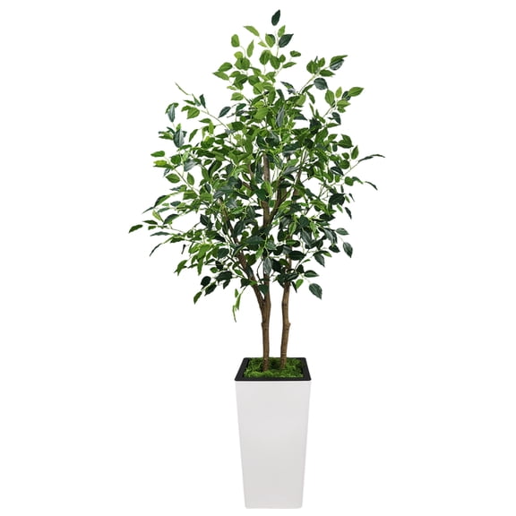 Senfot 5FT Three Stem Dense Artificial Banyan Tree Silk Plastic Material with Tall White Square Planter Large Floor Faux Plant for Living Room Office Commercial Indoor Landscape Decoration