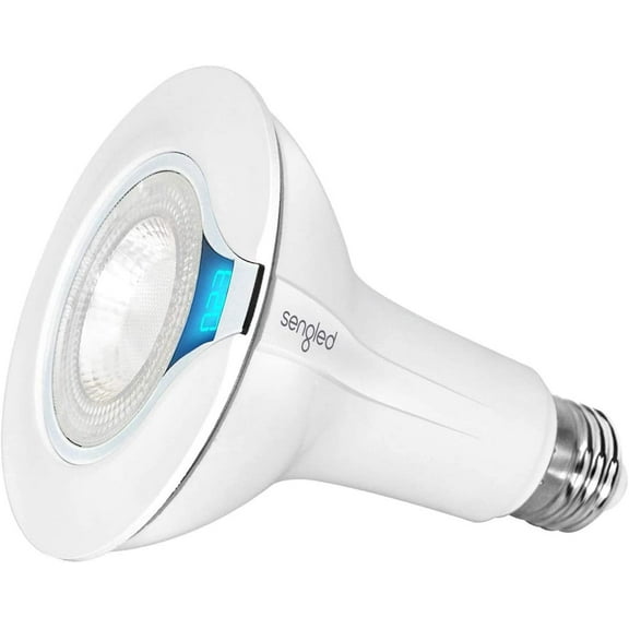 Sengled Lifetrack LED Residential Commercial Floodlight