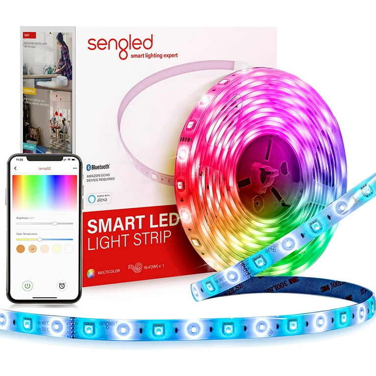Echo dot sengled best sale