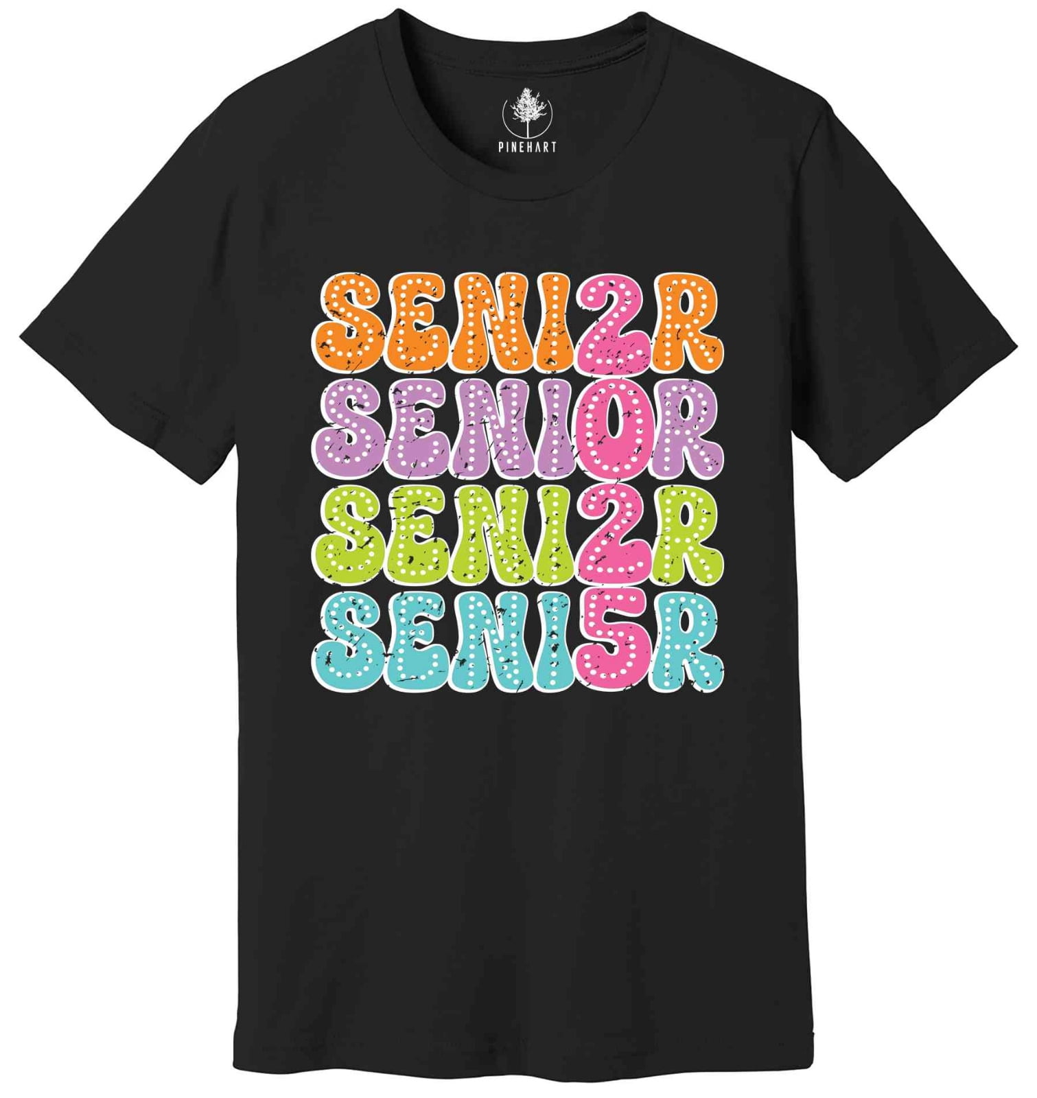Senior 2025 Shirt, Class Of 2025 Shirt, Graduate Gift Shirt, Graduation
