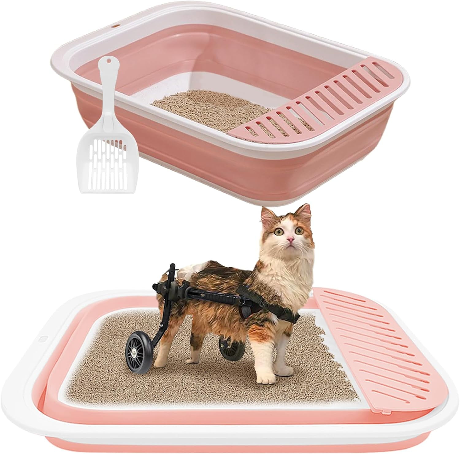 Senior Cat Litter Box Low Entry Kittens Travel Litter Box with Scoop