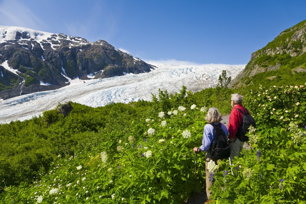 Senior Couple Hike Along Exit Glacier On Their Way To Harding Icefield Near Seward Kenai Peninsula Canvas Art - Michael DeYoung Design Pics (34 x 22)