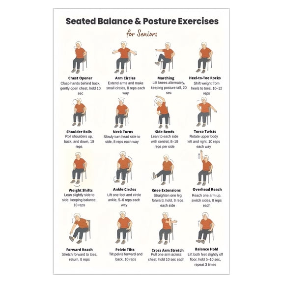 Senior Fitness Chair Exercises Chart Seated Balance and Posture Workout Illustrated Guide for Fall Prevention and Home Stability