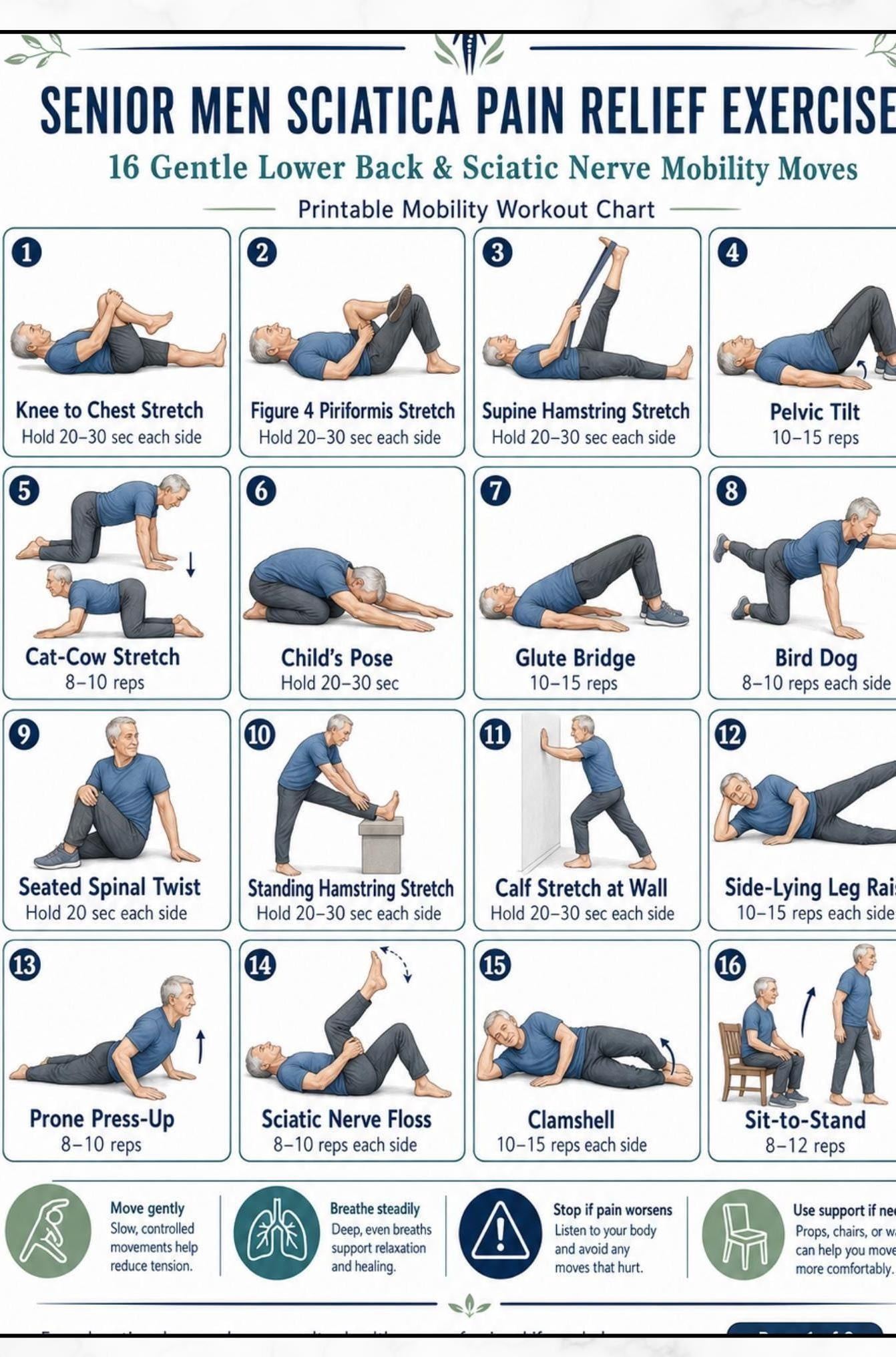 Senior Men Sciatica Poster Lower Back Stretch Guide poster, Helpful ...
