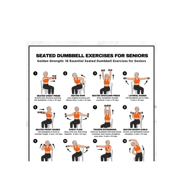 Senior Seated Dumbbell Workout Chart Poster - 16 Routines Fitness Guide