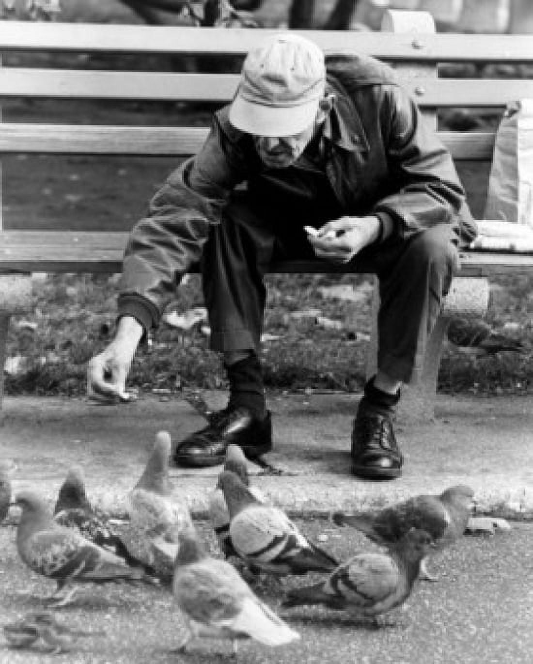 Senior man feeding pigeons in park Canvas Art - (18 x 24)