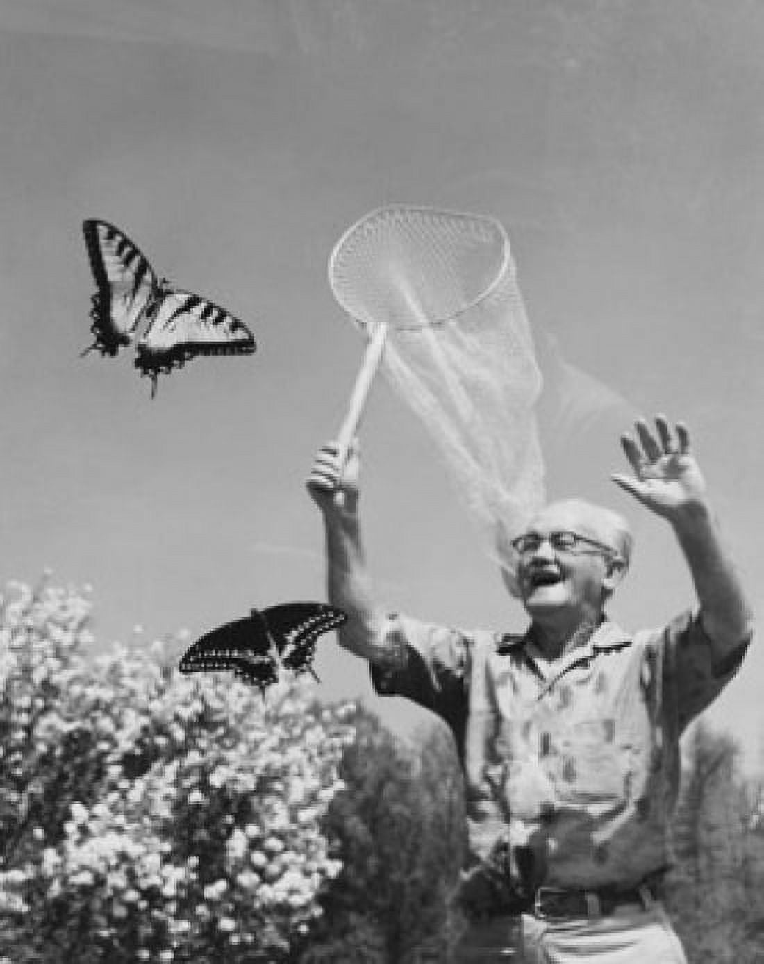 Senior man trying to catch butterflies Canvas Art - (18 x 24)
