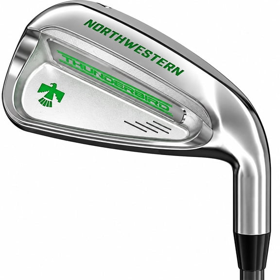 Senior’s Thunderbird Irons Set