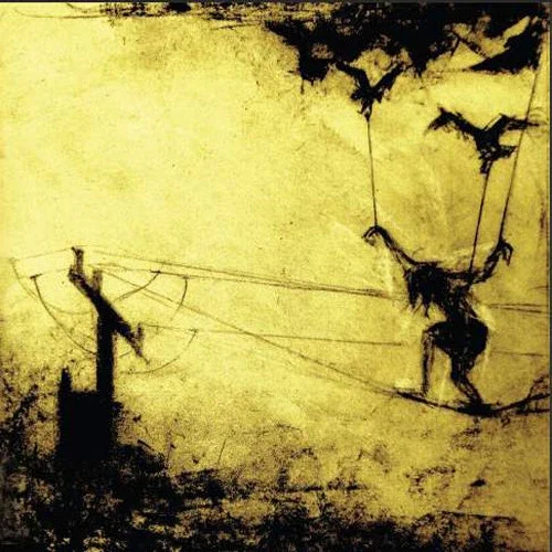 Senryu - Half Wild 2011 Cd New - Indie Rock