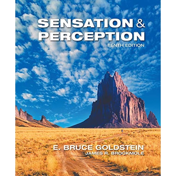 Pre-Owned Llf Sensation/Perception Paperback