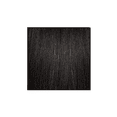 thumbnail image 1 of Sensationnel What Lace 13X6 Frontal Lace Wig - Dayana 12", 1 of 20
