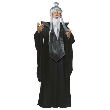 Sensei Master Halloween Costume