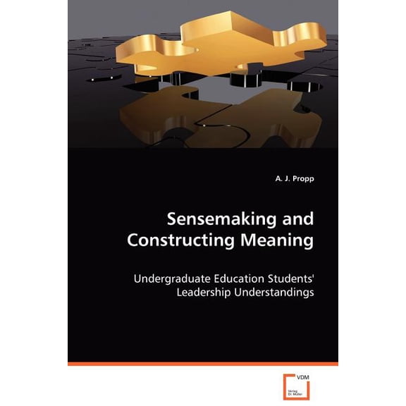 Sensemaking and Construction Meaning, (Paperback)