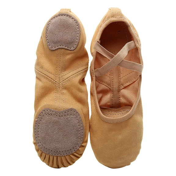 Sensethe Ballet Shoes Full Stretch Professional Sole Shoes Dance Shoe Dancing Gymnastics Shoes for Adults 1 Pair ( Size 40 )