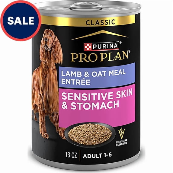 Sensitive Skin and Stomach Lamb and Oat Meal Entree Classic Wet Dog Food Pate 13 oz., Case of 12
