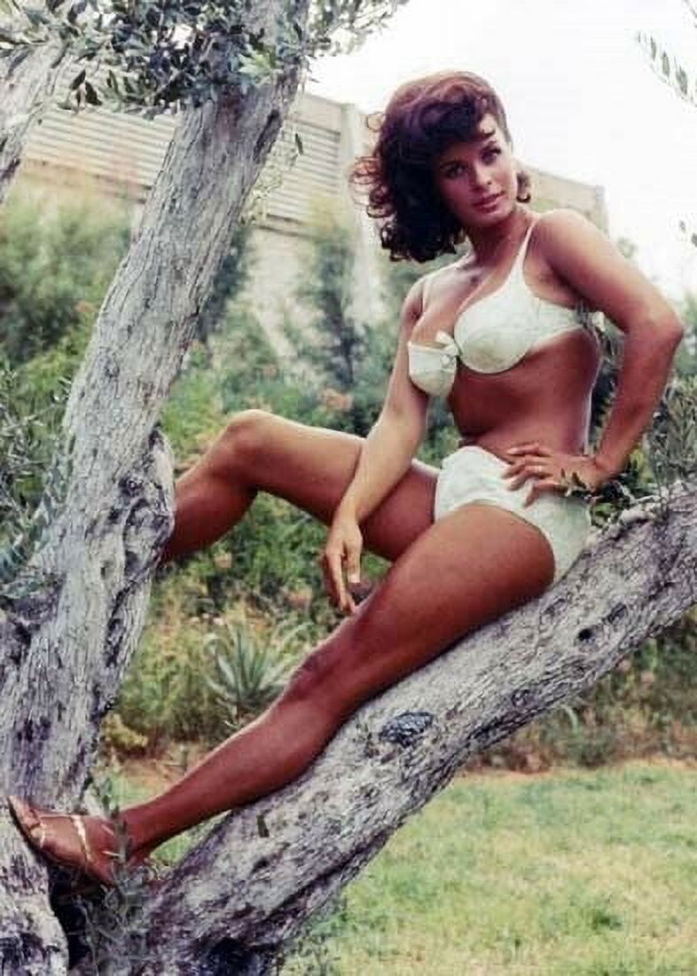 Senta Berger sexy busty in green bikini posing on a tree branch 5x7