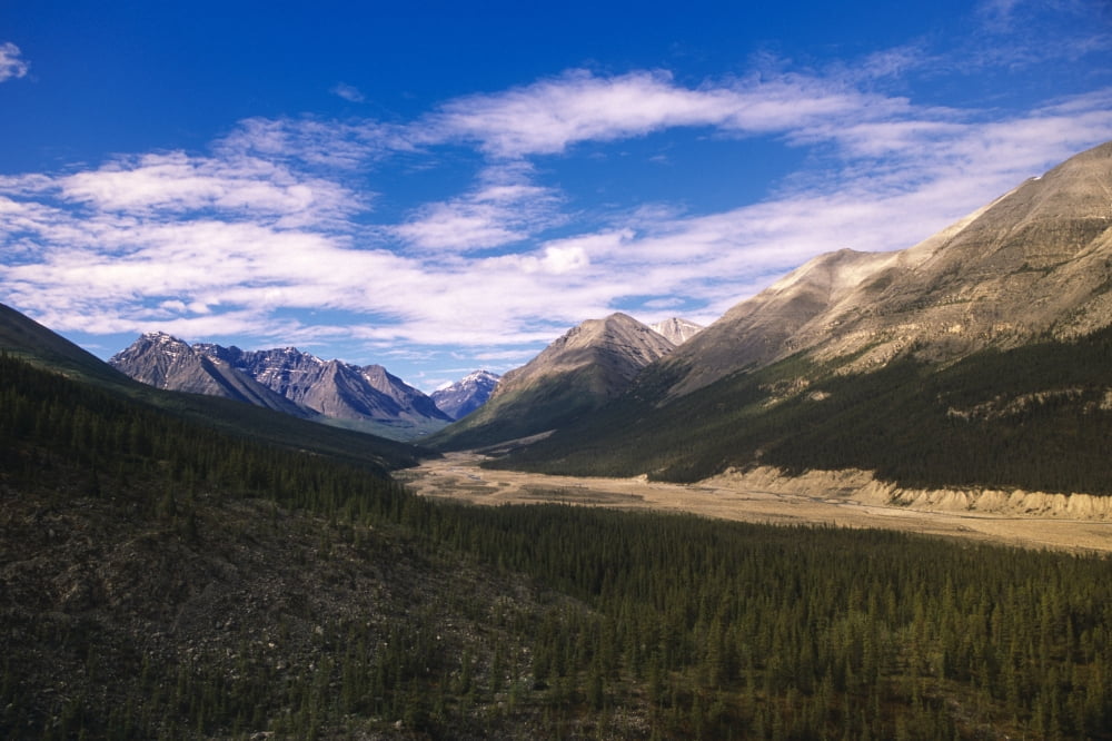 Sentinel Range Near Muncho Pass Rocky Mountains Bc CaNsummer Canvas Art - Kevin Smith Design Pics (17 x 11)