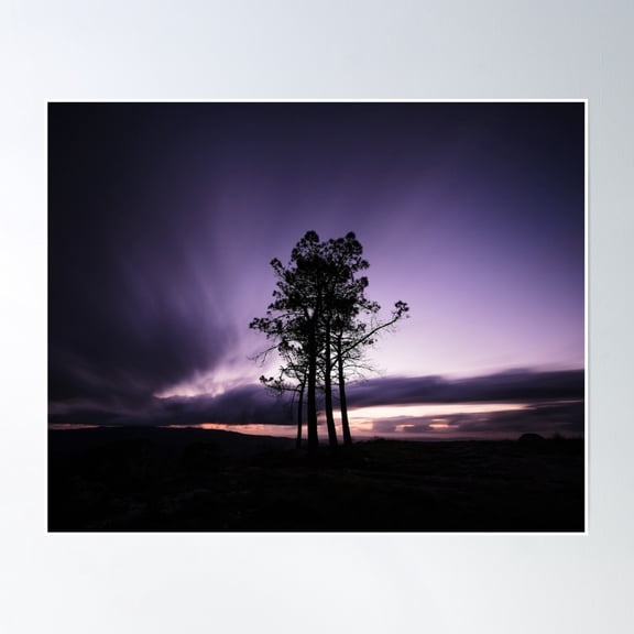 Sentinels Poster Wall Art, Modern Wall Decor, 24x36 UNFRAMED