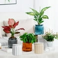thumbnail image 1 of Sentmoon Planter Transparent Hydroponic Pot Large Vertical Ribbed Clear Plastic Planter Desktop Indoor Self Watering Pot for Green Lovers Home Office Terrarium, 1 of 7