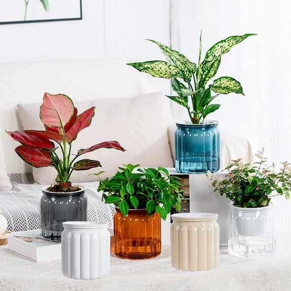 Sentmoon Planter Transparent Hydroponic Pot Large Vertical Ribbed Clear Plastic Planter Desktop Indoor Self Watering Pot for Green Lovers Home Office Terrarium