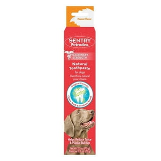 Dog Toothpaste in Dog Dental Care Walmart