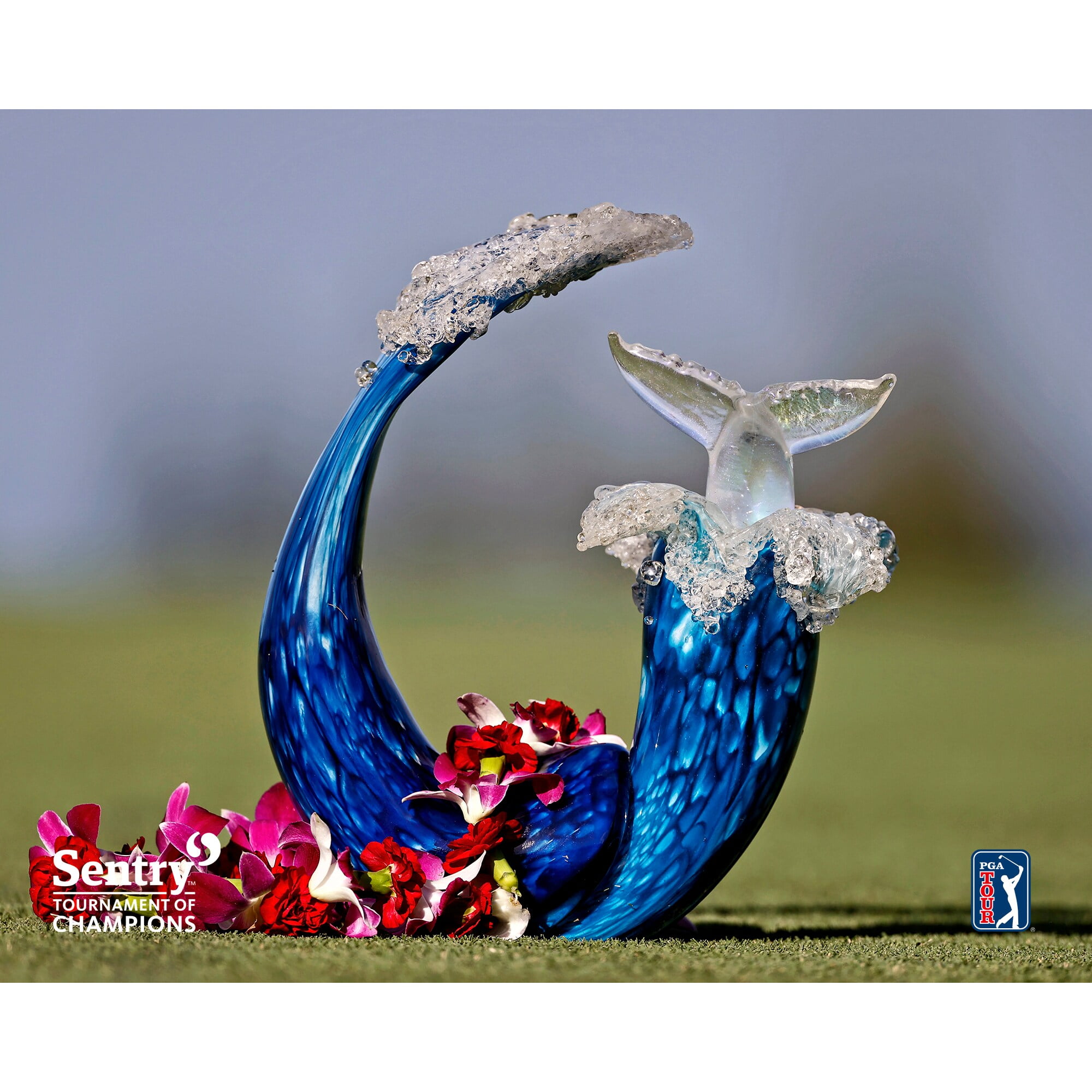 Sentry Tournament of Champions Whale Trophy Unsigned Photograph