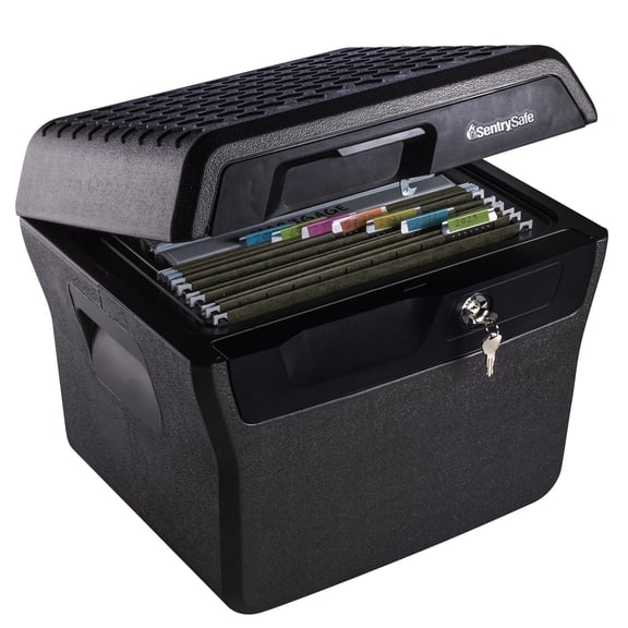 SentrySafe FHW40100 Fire/Water File Document Safe with Key Lock, 0.66 Cu-Ft., Charcoal Grey