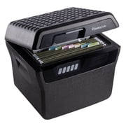 SentrySafe FHW40300 Fire/Water File Safe with Digital Lock, 0.66 Cu-Ft., Gray
