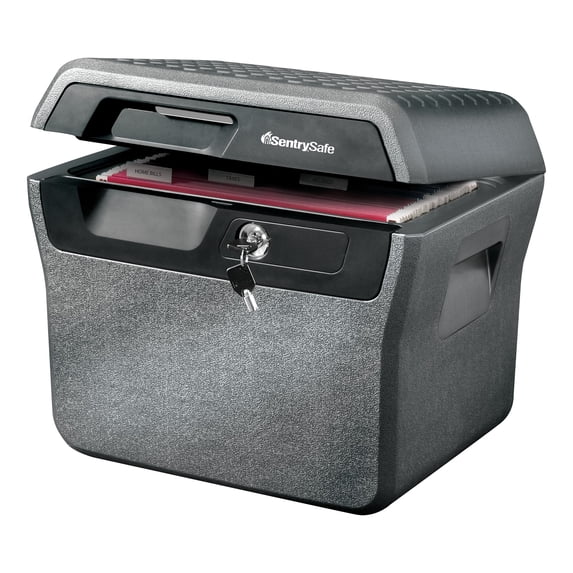 SentrySafe File Holder Fire-Resistant Waterproof, Charcoal Gray