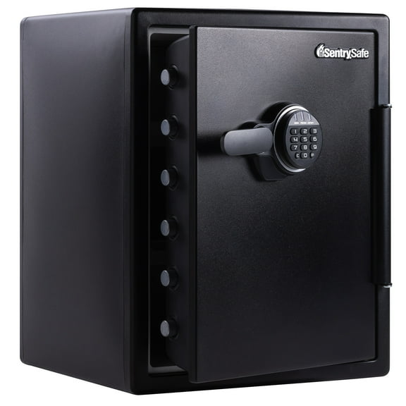 Sentry Safe Digital Safe