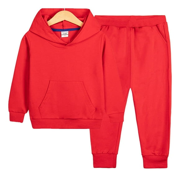 Sentuca Toddler Girls Clothes Cotton Outfit Sets Long Sleeve Pullover Hoodies and Sweatpants Elastic Bottom for Boys Size 3-4Years