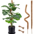 thumbnail image 1 of Senya 60 Inch Moss Pole for Plants Monstera, Tall Bendable Moss Poles for Climbing Plants Indoor, 1 of 6