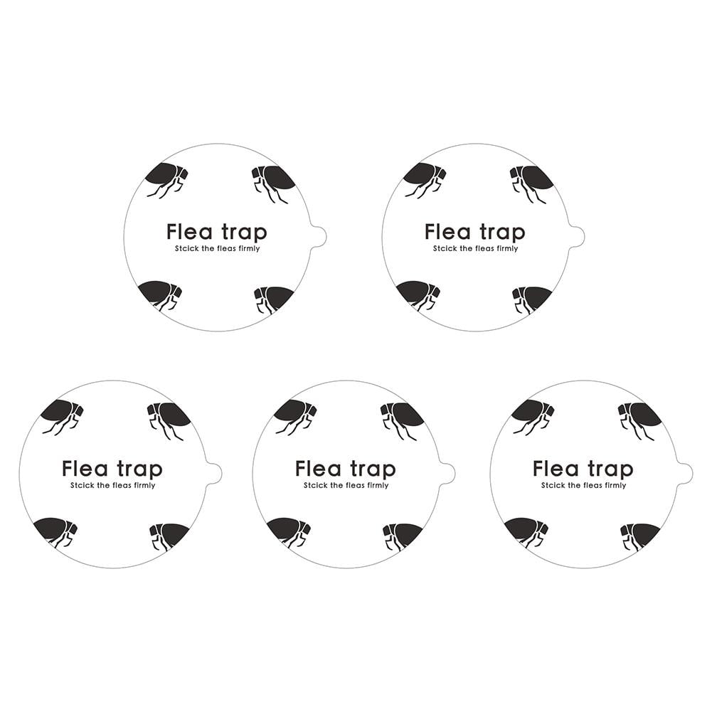 Senza Fretta Flea Trap Chisel Removal Stickers Chisel Glue Disc