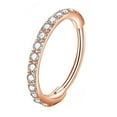 thumbnail image 1 of BTLIGE Hinged Rings Micro Zirconia Earring Cartilage Nose Hoop Septum✨s 9CC0 F1E0, 1 of 6