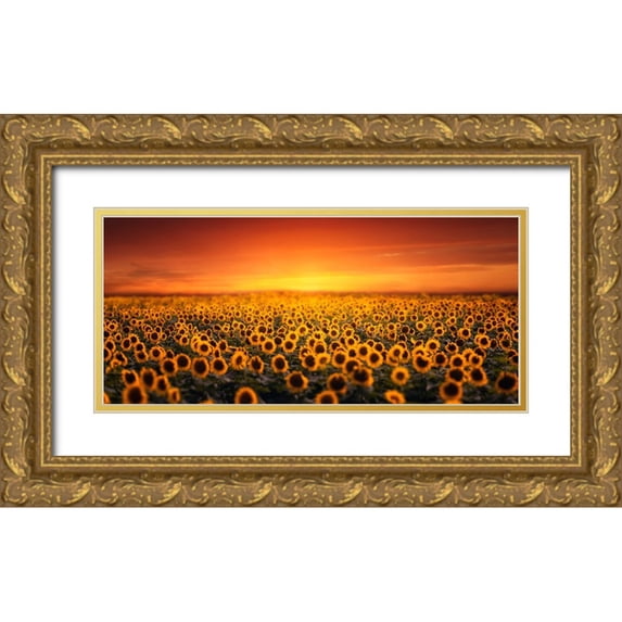 Seo, Tiger 14x9 Gold Ornate Wood Framed with Double Matting Museum Art Print Titled - Sunset On Sunflower Field