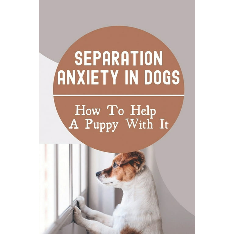https://i5.walmartimages.com/seo/Separation-Anxiety-In-Dogs-How-To-Help-A-Puppy-With-It-How-To-Break-A-Dog-S-Separation-Anxiety-Paperback-9798455206016_c4b33a91-51ce-4c22-b0fa-c77b94890afd.15f0297ee61ecc97fba58618d26d0904.jpeg?odnHeight=768&odnWidth=768&odnBg=FFFFFF