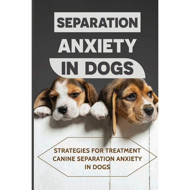 Separation Anxiety In Dogs Strategies For Treatment Canine