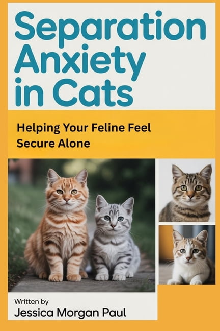 Separation Anxiety Cat