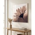 Sepia Backlit Daisy Glass Wall Art - Walmart.com