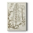 thumbnail image 1 of Sepia Botanical Journal V Premium Gallery Wrapped Canvas - Ready to Hang, 1 of 9