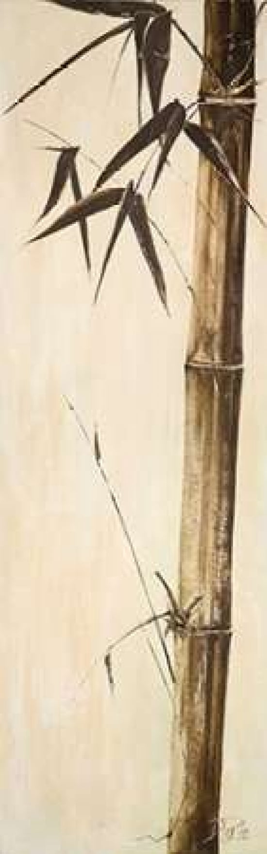 Sepia Guadua Bamboo II Canvas Art - Patricia Pinto (12 x 36)